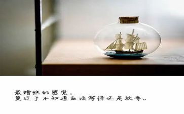 追逐梦想放飞梦想的演讲稿5篇