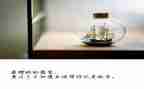 中国梦放飞梦想的演讲稿6篇