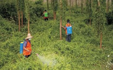 县职业病防治工作总结8篇