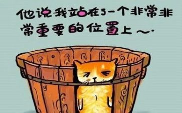 分与合教案反思精选6篇