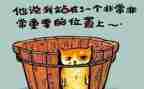 整10加教案反思6篇