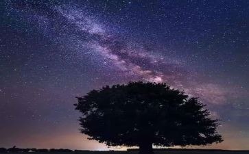 写繁星的读后感400字6篇