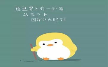 供肥料合同最新7篇