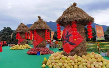 中国丰收节活动总结7篇