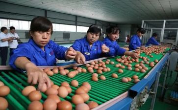 中通快递分检工作总结8篇