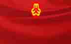 2023年妇联工作总结5篇