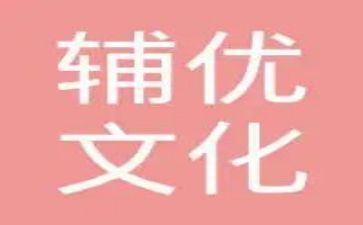 辅优补后工作总结6篇