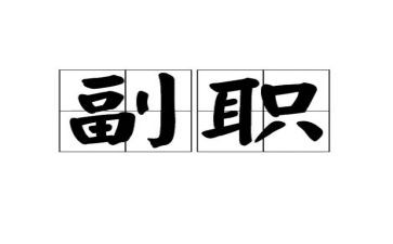 副职业工作总结推荐5篇