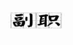 副职业工作总结推荐5篇