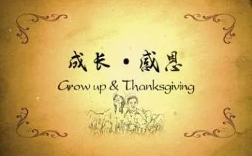 关于感恩的演讲稿800字5篇