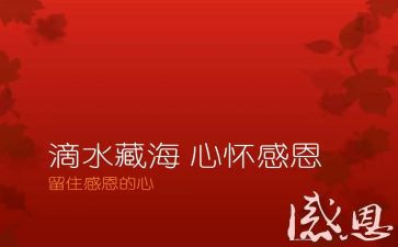 对学校感恩活动的心得体会6篇