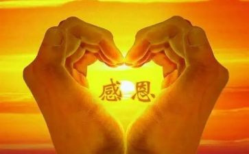 我感恩我的作文5篇