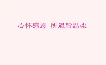 以感恩演讲稿800字通用6篇