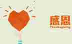 感恩活动的总结8篇