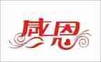 活动感恩活动方案推荐8篇