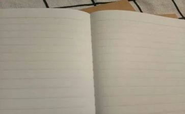 法治社会建设纲要心得体会5篇