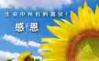感谢青春的作文推荐7篇