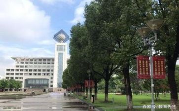 高校教师自我总结8篇