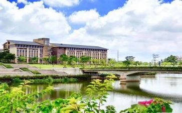 高校新教师心得体会5篇
