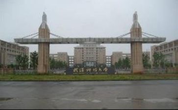 高校教师的工作总结精选8篇
