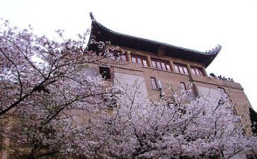 高校教师自我鉴定5篇