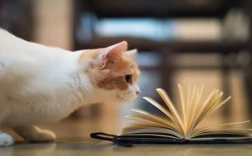 读格林童话读后感6篇