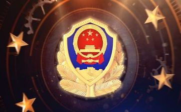 干公安工作个人总结6篇