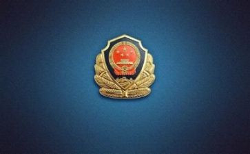 为党和公安工作总结8篇