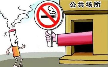 公共卫生科工作计划最新8篇