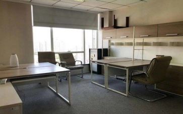 公司年度述职报告精选5篇