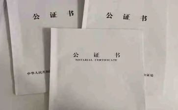 公证处工作总结6篇
