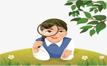 观察蚂蚁作文推荐5篇