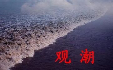 读了观潮心得体会总结推荐6篇