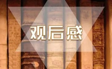 榜样6观后感6篇