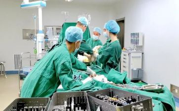 骨科实习的心得体会最新8篇