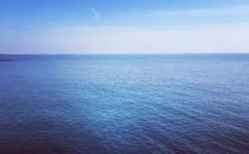 海燕的教案8篇