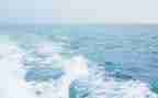 海恋读后感30字8篇