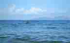 听,海的声音作文通用7篇