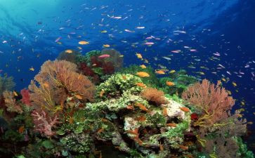 海底捞读后感400字模板5篇