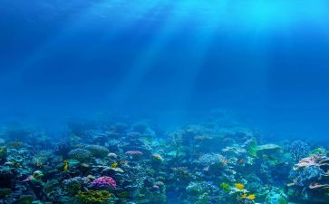 《海底两万里》心得体会精选8篇
