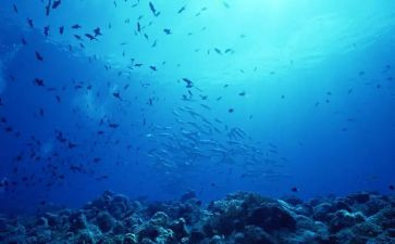 《海底两万里》的心得体会推荐8篇