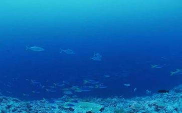 海底两万里读后感优秀6篇