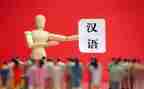 小学汉语文心得体会优秀7篇