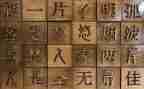 作文《我爱汉字》300字6篇