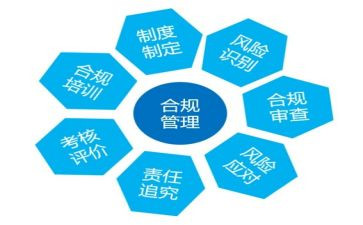 2024年风险合规部工作总结8篇