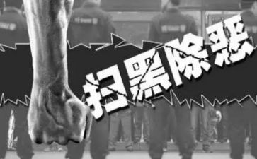 幼儿园除黑恶活动总结优质5篇