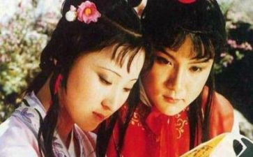 红楼梦的读后感300字精选8篇