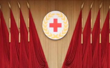 红十献血活动总结8篇
