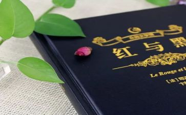 读后感红与黑600字8篇