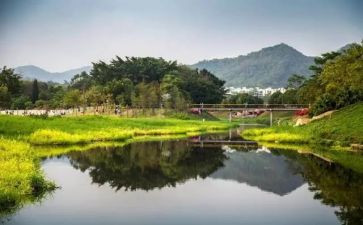 优化环境调研报告6篇